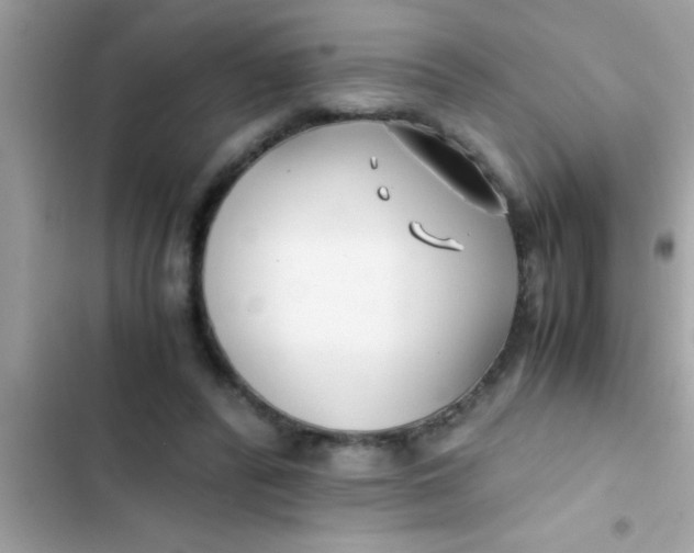 X0000103310400200809191922