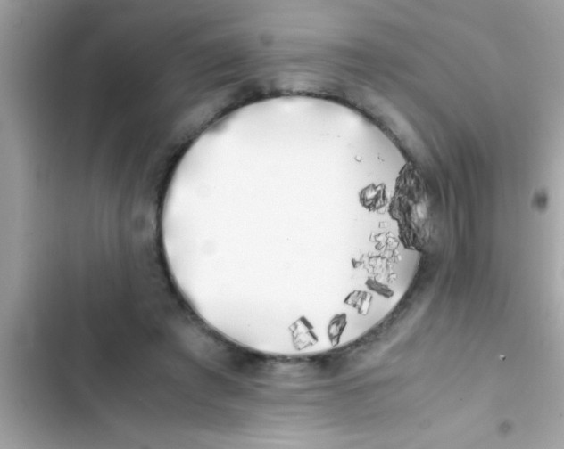 X0000103310401200809191922