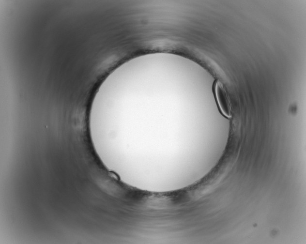 X0000103310403200809191922