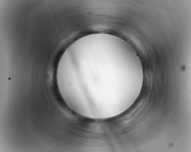 X0000103310404200809191922
