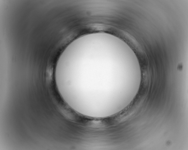 X0000103310406200809191922