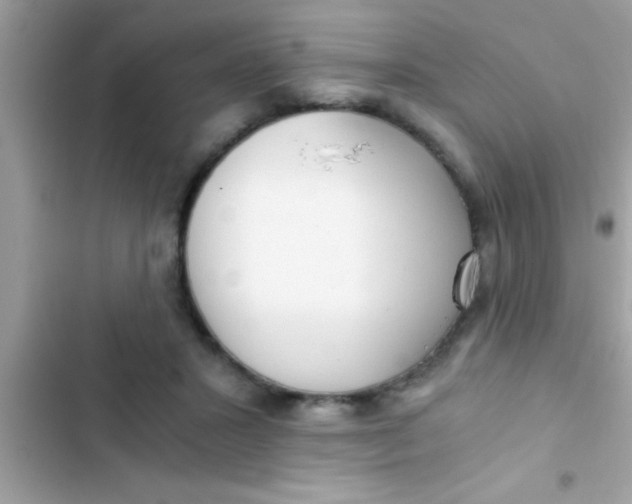 X0000103310407200809191922