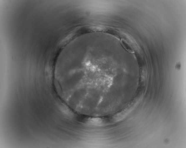 X0000103310409200809191922