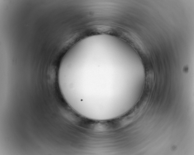 X0000103310412200809191922