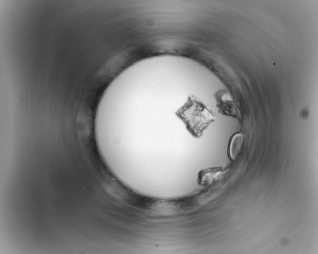 X0000103310413200809191922