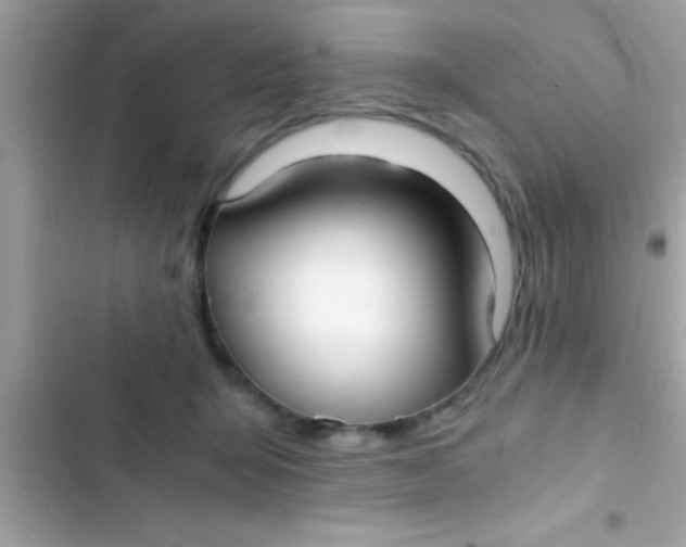 X0000103310415200809191922