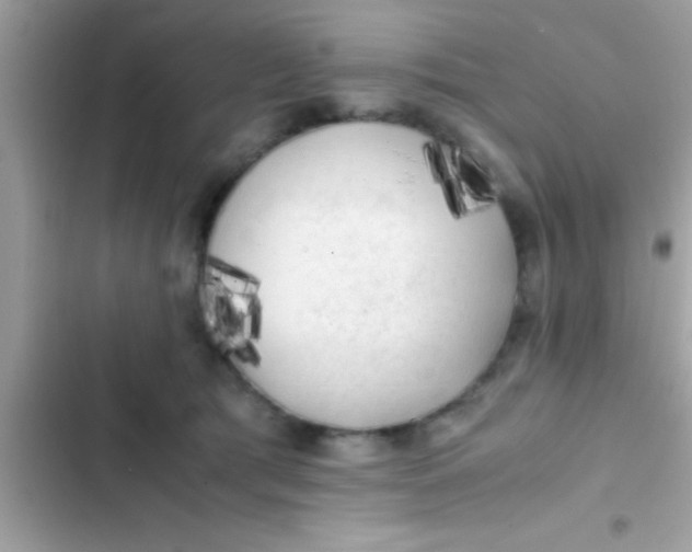 X0000103310417200809191922