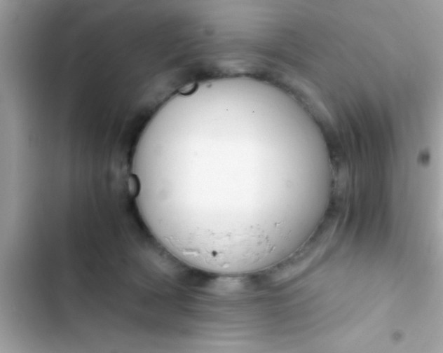 X0000103310418200809191922