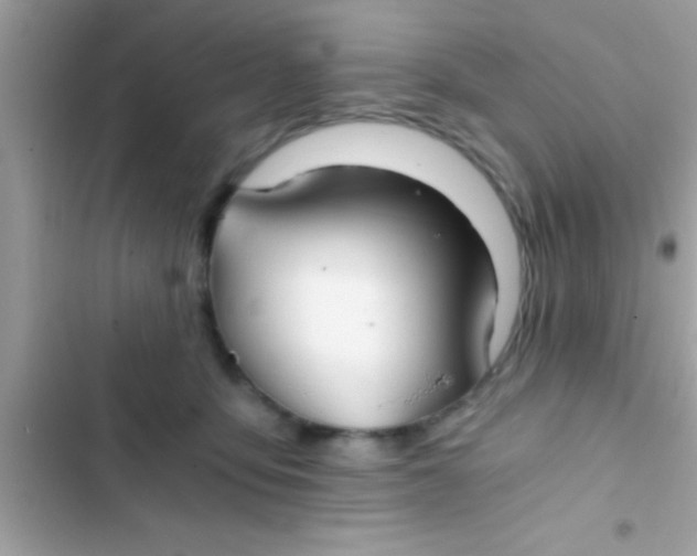 X0000103310419200809191922