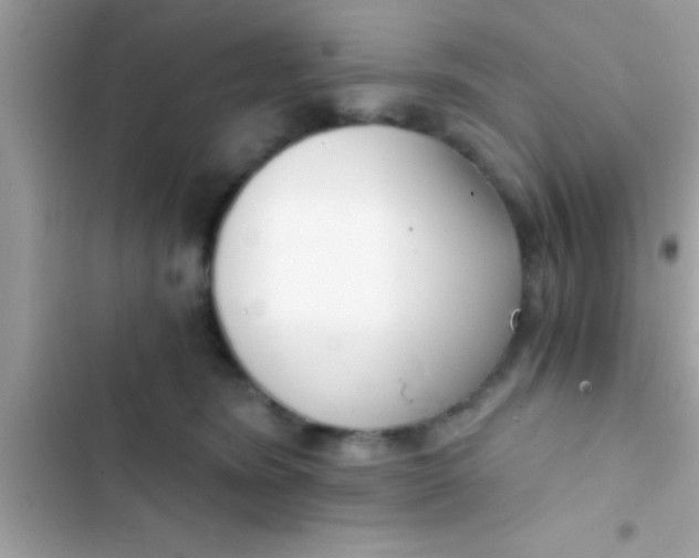 X0000103310420200809191922
