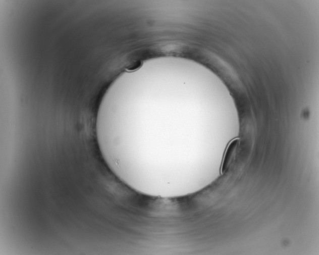 X0000103310421200809191922