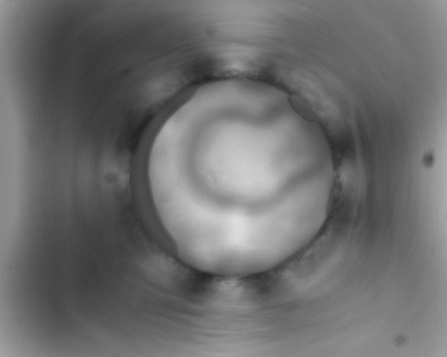 X0000103310423200809191922