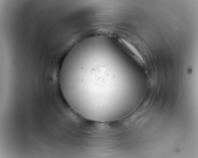 X0000103310424200809191922