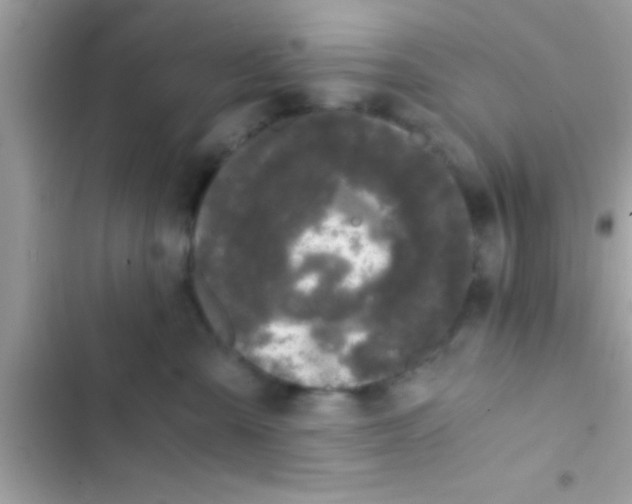 X0000103310427200809191922