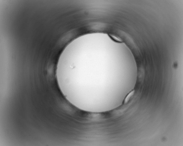 X0000103310428200809191922