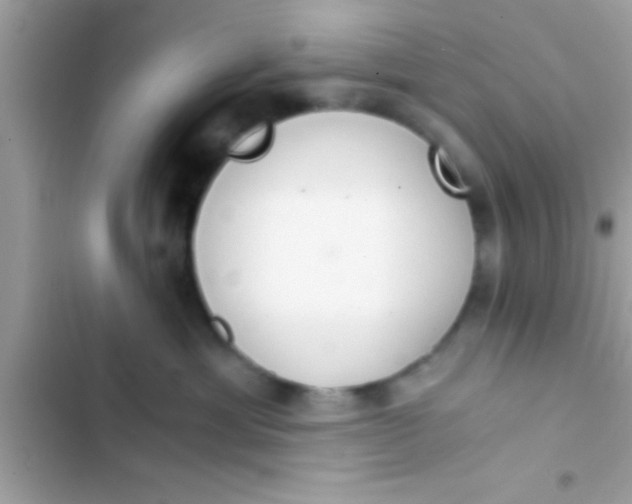 X0000103310429200809191922