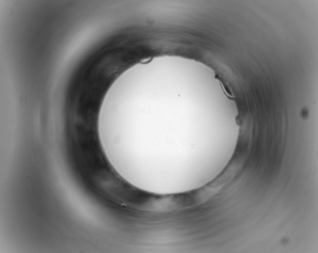 X0000103310430200809191922