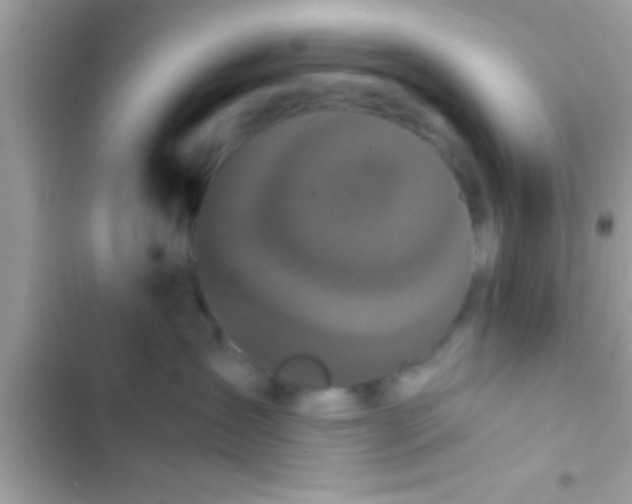 X0000103310431200809191922