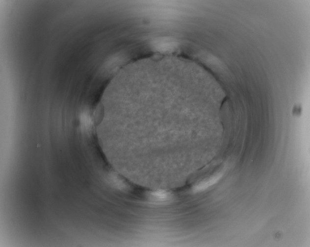 X0000103310432200809191922