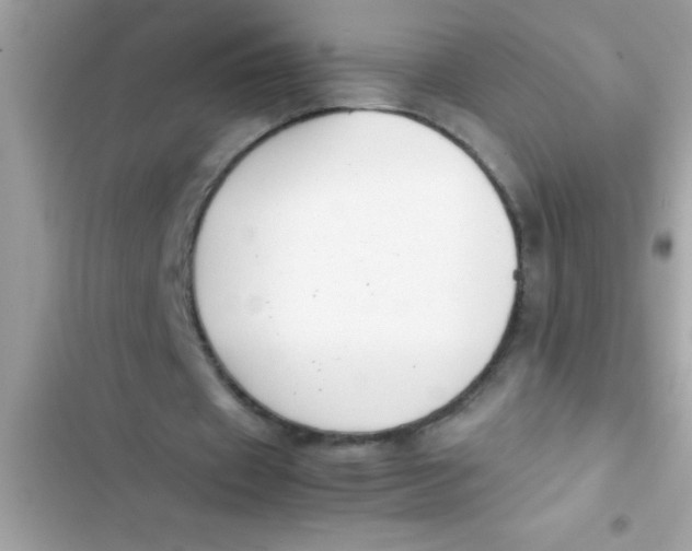 X0000103310433200809191921