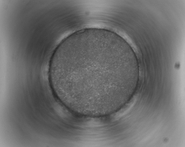 X0000103310434200809191921