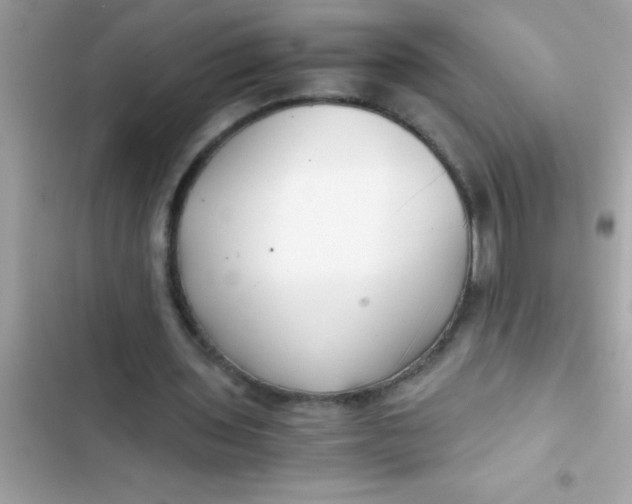 X0000103310435200809191921