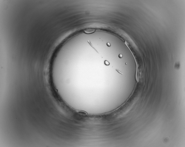 X0000103310436200809191921
