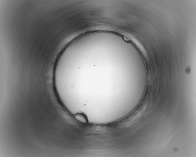X0000103310437200809191921