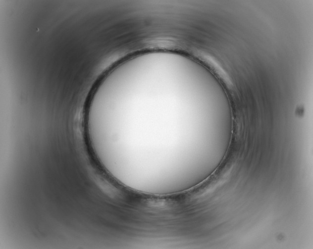 X0000103310439200809191921