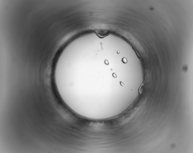 X0000103310440200809191921