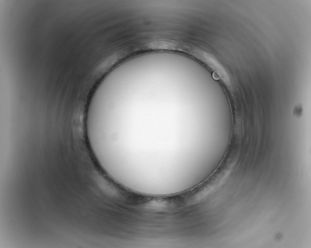 X0000103310441200809191921