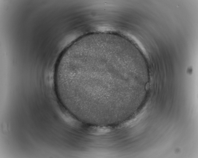 X0000103310443200809191921