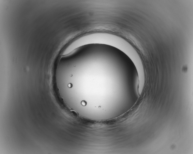 X0000103310444200809191921