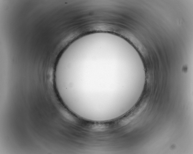X0000103310445200809191921