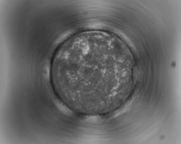 X0000103310446200809191921