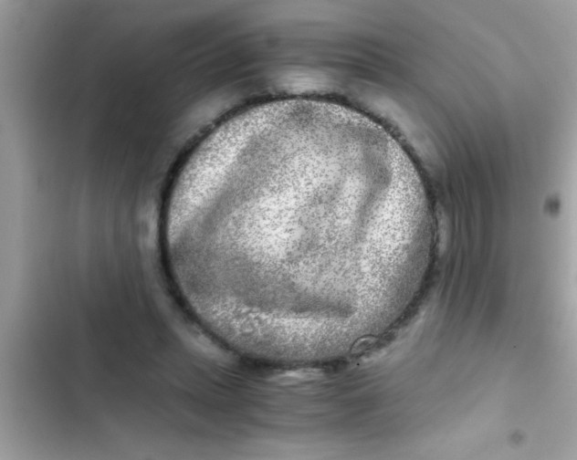 X0000103310447200809191921