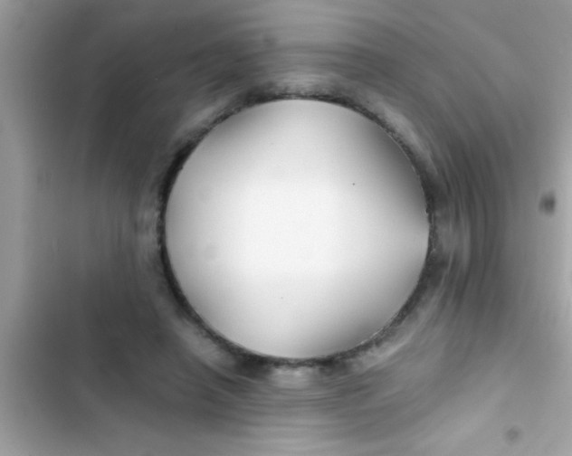 X0000103310450200809191921