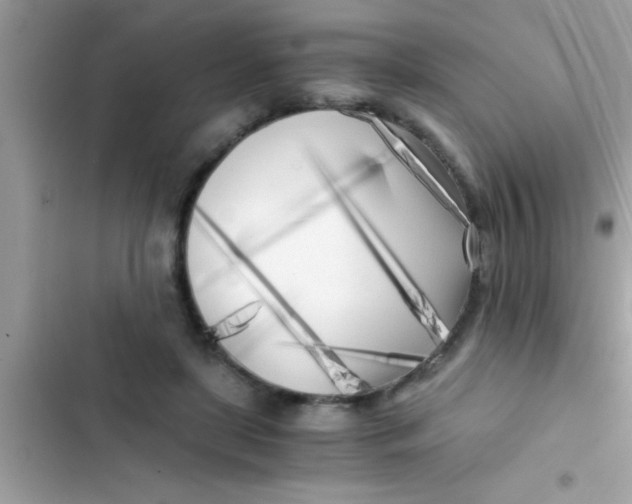 X0000103310451200809191921