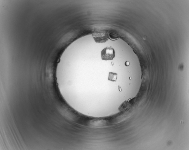 X0000103310452200809191921