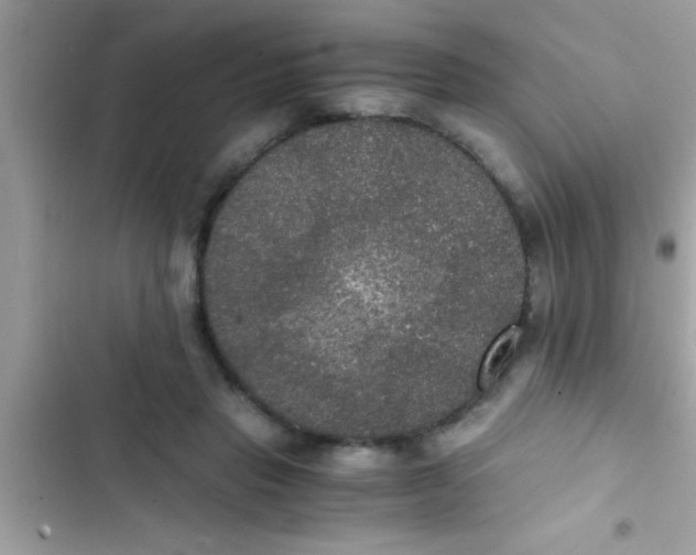 X0000103310453200809191921