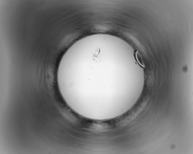 X0000103310455200809191921