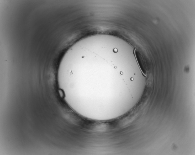 X0000103310456200809191921