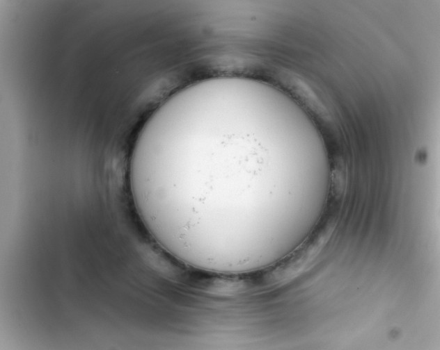 X0000103310458200809191921