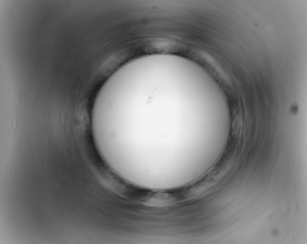 X0000103310459200809191921