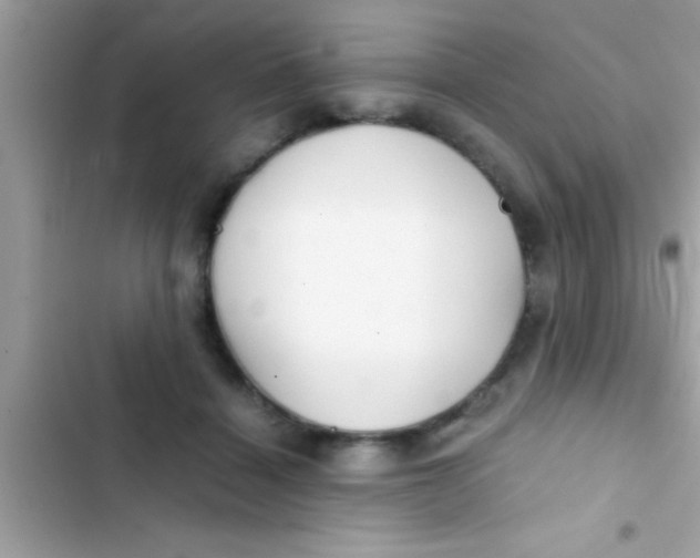 X0000103310460200809191921