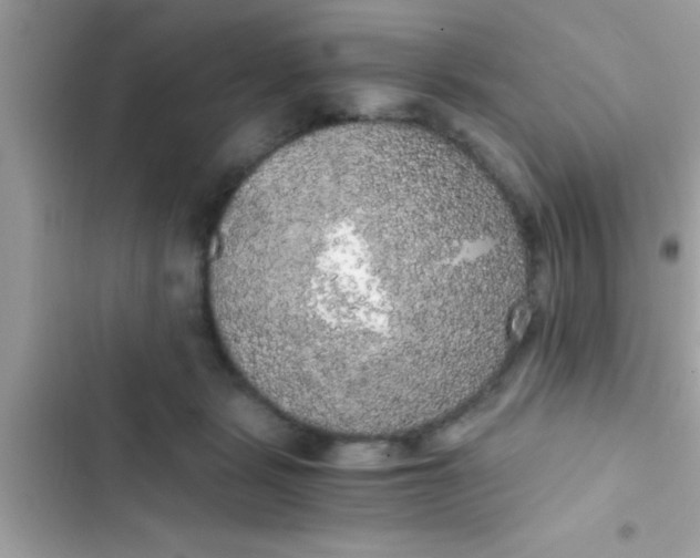 X0000103310461200809191921