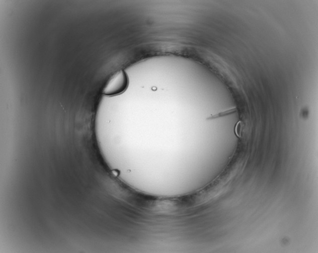X0000103310462200809191921