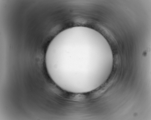 X0000103310463200809191921