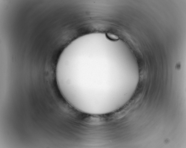 X0000103310464200809191921