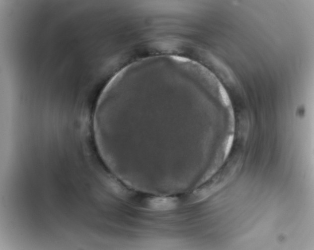 X0000103310465200809191921